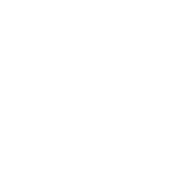 Vuzix Corporation Share Price
